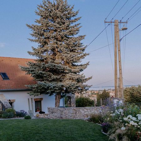 Panorama Vine House Apartment Balatonfured Exterior photo